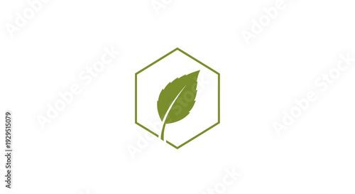 Green leaf in hexagon shape logo.