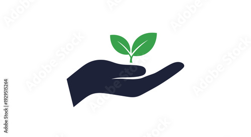 Hand Holding Small Green Plant.