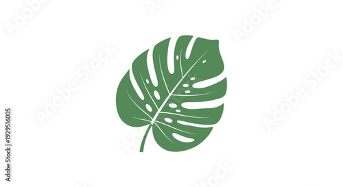 Large green tropical leaf closeup.