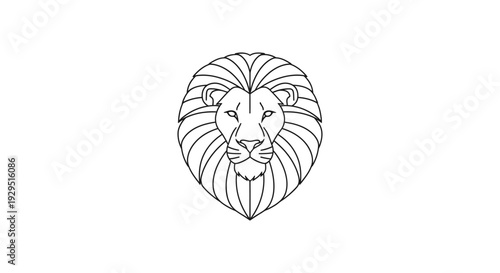Lion Face Closeup Illustration Drawing.