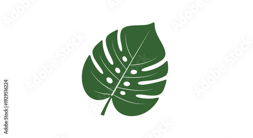 Monstera Leaf Illustration Green Foliage.