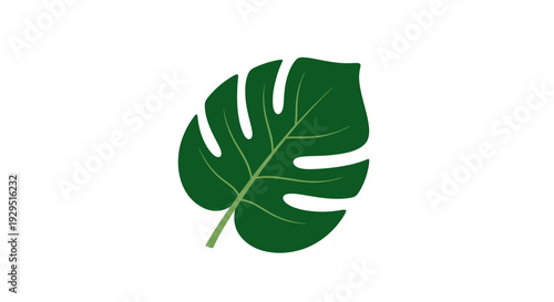 Monstera Leaf Illustration Green Foliage.