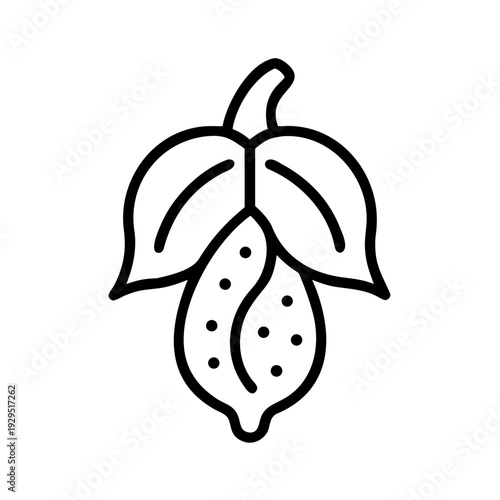 Fresh cacao pod with leaves, symbolizing organic farming and natural produce