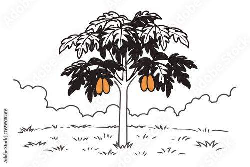 A minimalist vector illustration of a mango tree with fruit in a simple landscape