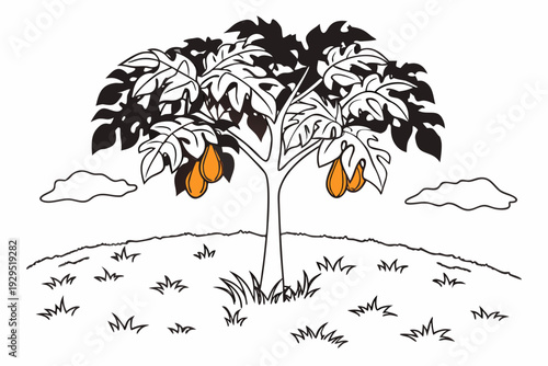 A minimalist vector illustration of a tree with pears in a field
