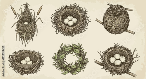Collection of Hand-Drawn Bird Nests with Eggs and Greenery, Vintage Style