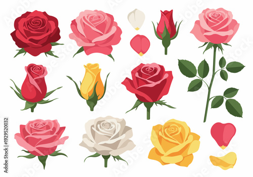 A Collection of Vibrant Roses in Various Stages of Bloom and Color, Including Red, Pink, Yellow, and White Varieties