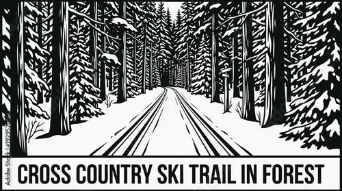 cross country ski trail in a snowy forest black and white vector representing endurance sport and nature exploration