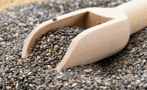 photo of chia seeds.