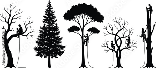 Arborist tree climbing silhouette set with workers cutting and trimming branches isolated on white background black vector illustration collection