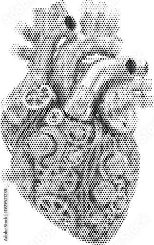 Human heart anatomy vector halftone medical illustration isolated on white
