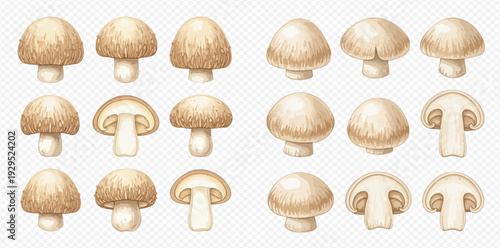 Set of fresh whole and sliced button mushrooms on a transparent background, healthy food ingredient.