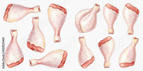 Raw chicken drumsticks set for cooking, fresh poultry meat isolated on transparent background.