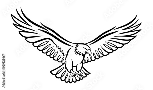Eagle Flying Continuous Line Art – Minimalist Monoline Bird Logo Vector