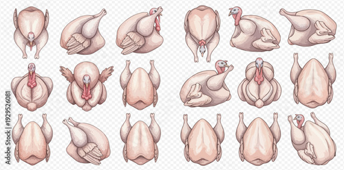 Set of fresh raw whole chicken and turkey carcasses in various positions for cooking.