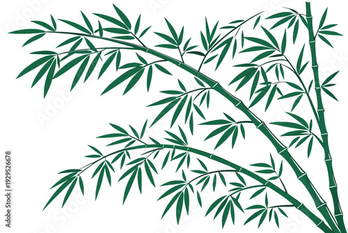 Green bamboo branches with slender leaves extend gracefully across a white background, suggesting natural beauty and tranquility in an elegant illustration.