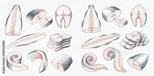 Set of various raw fish fillets and steaks for cooking, watercolor illustration.