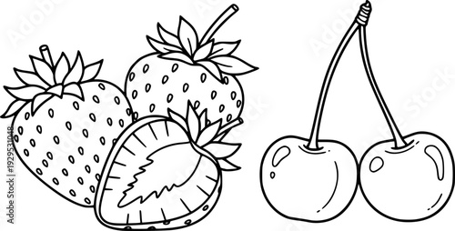 Simple hand drawn outline of fresh red strawberries and sweet juicy cherries perfect for healthy food product packaging and natural fruit juice labels