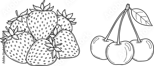 Simple hand drawn outline of fresh red strawberries and sweet juicy cherries perfect for healthy food product packaging and natural fruit juice labels