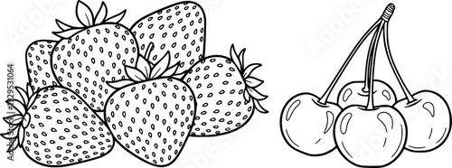 Simple hand drawn outline of fresh red strawberries and sweet juicy cherries perfect for healthy food product packaging and natural fruit juice labels