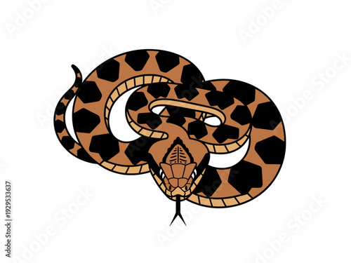 Illustration of a coiled rattlesnake with distinctive diamond pattern.