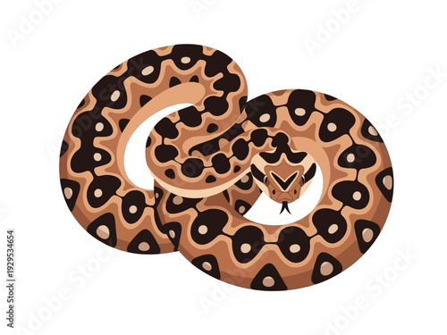 A coiled python snake with intricate brown and black patterns.