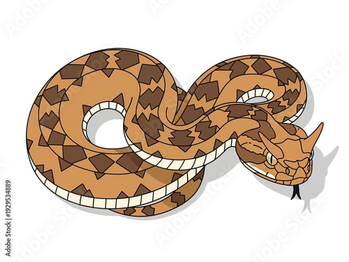 Illustration of a horned rattlesnake coiled and ready to strike.