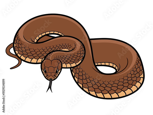 Illustration of a coiled brown rattlesnake with its tongue flicking.