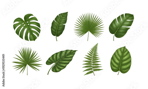 Tropical Green Leaves Collection Isolated on Transparent Background