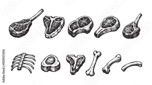 Illustration of assorted meat cuts like ribeye, t-bone steak, and bones, hand-drawn in a graphic, black and white style, useful for butcher shops and dining-related projects.