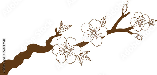 Elegant Dogwood Branch with Delicate Pale Blooms Hand Drawn Vector Illustration for Design Projects