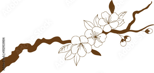 Elegant Dogwood Branch with Delicate Pale Blooms Hand Drawn Vector Illustration for Design Projects
