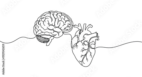 Continuous line drawing of brain and heart connection