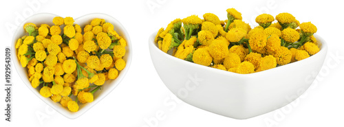 Tansy flower or Tanacetum vulgare in ceramic bowl isolated on white background. Top view. Flat lay.