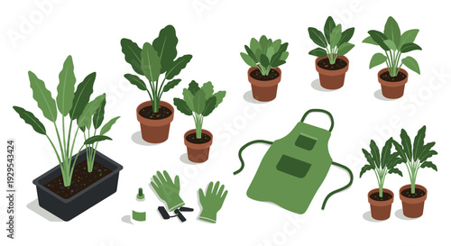 collection of hand drawn potted green houseplants gardening gloves apron and plant care tools set