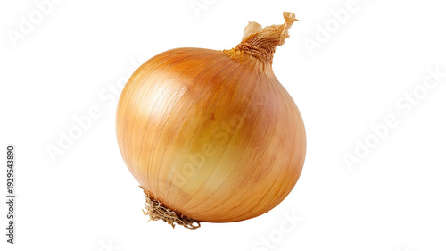 Wallpaper Mural Fresh whole golden onion vegetable with dry stem and natural texture shown in detailed close-up isolated on white background Torontodigital.ca
