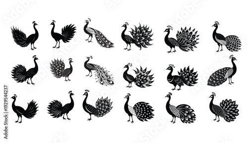 Collection of elegant peacock silhouettes in various poses and designs