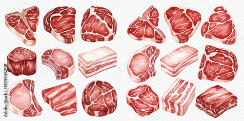 Collection of various raw meat cuts including steaks, bacon, and roasts, perfect for culinary and food-related designs.