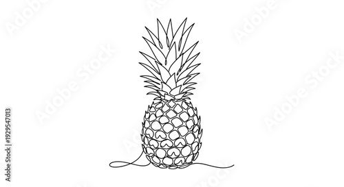 Single whole pineapple, minimalist line drawing
