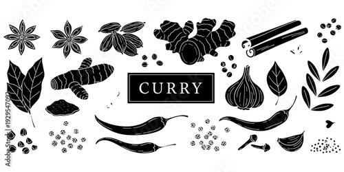 Curry spice illustration, black white drawing, star anise, cardamom pods, ginger root, cinnamon sticks, garlic cloves, chili peppers, turmeric, bay leaves, decorative artwork, flat vector design