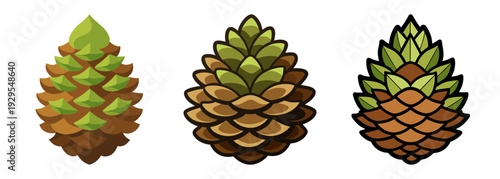 Three stylized fir tree cones with detailed scales and varied coloring