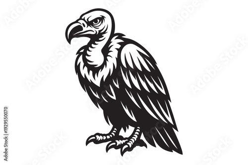 Vulture  in the form of a bird