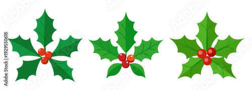 Green holly leaves with red berries christmas holiday decoration