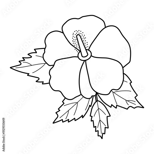 Hibiscus flower outline isolated on white background. Tropical exotic plant line art. Vector icon, illustration for coloring book.