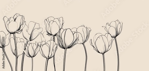 Line drawing of tulips in varying bloom stages against a soft beige background