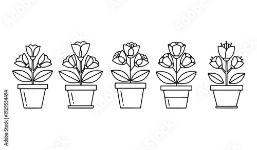 Minimal flowering potted plant outline icon collection vector