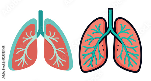 Human lungs respiratory system medical health anatomy illustration
