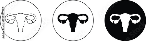 Female reproductive system icons in outline solid and negative space variations Keywords: female reproductive system, uterus