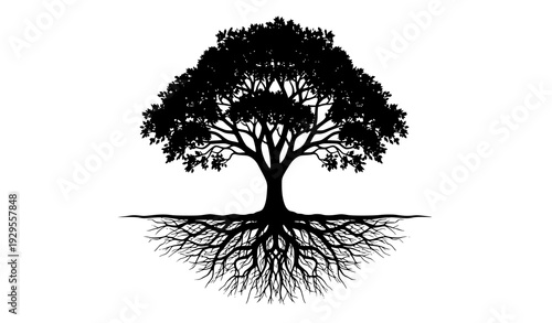 Black Tree with Detailed Roots Silhouette Vector Illustration Isolated on White Background