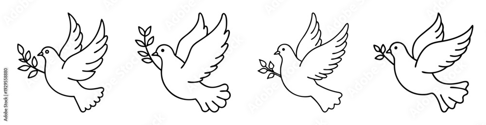 Obraz premium Four white doves holding olive branches in their beaks, black line drawing